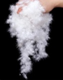 Washed White Goose Down