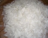 Washed White Goose Feather