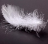 Washed White Duck Feather