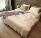Tencel Sheet Sets solid colors
